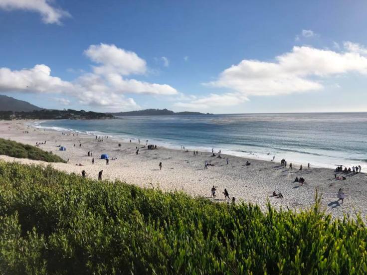 Carmel Beach