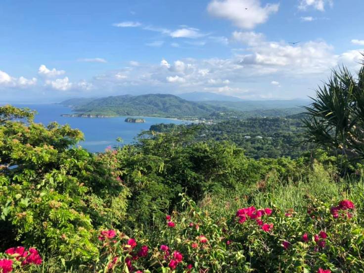 The View from Firefly